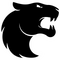 FURIA Esports