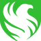 Team Falcons