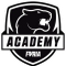 FURIA Academy